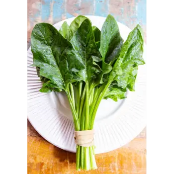 spinach (15)-6685120-99127.webp